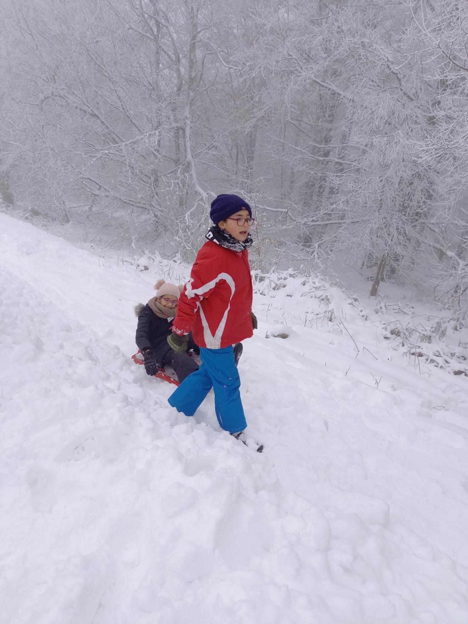 L'Abri Lägenhet La-Roche-en-Ardenne Exteriör bild