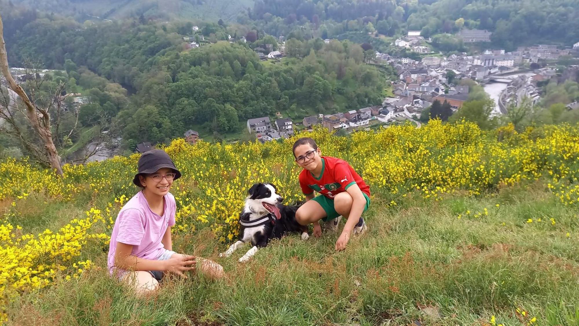L'Abri Lägenhet La-Roche-en-Ardenne Exteriör bild